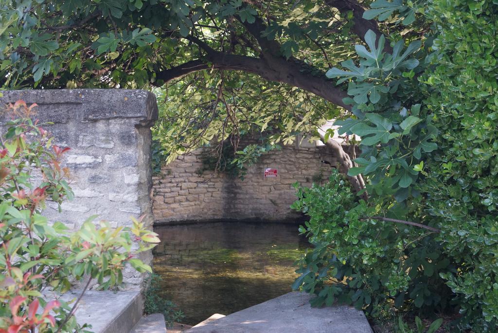 Colombe Apartment L'Isle-sur-la-Sorgue Bagian luar foto